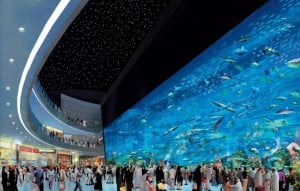 The Dubai Mall, United Arab Emirates