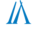 Amer Adnan Associates